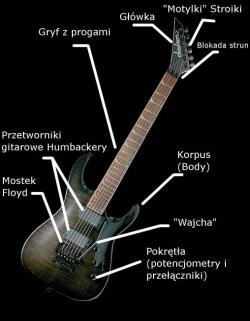 image mini Gitara-elektryczna-budowa-HB-HB-Floyd